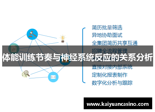 体能训练节奏与神经系统反应的关系分析
