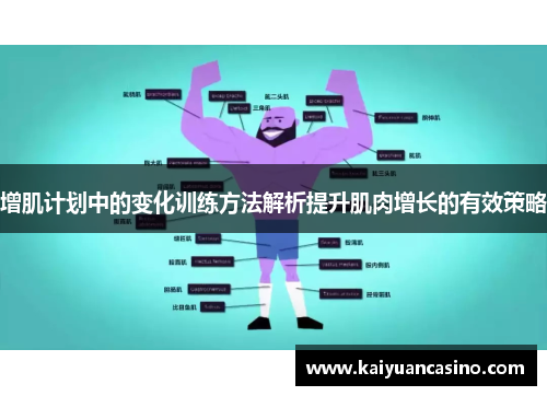 增肌计划中的变化训练方法解析提升肌肉增长的有效策略